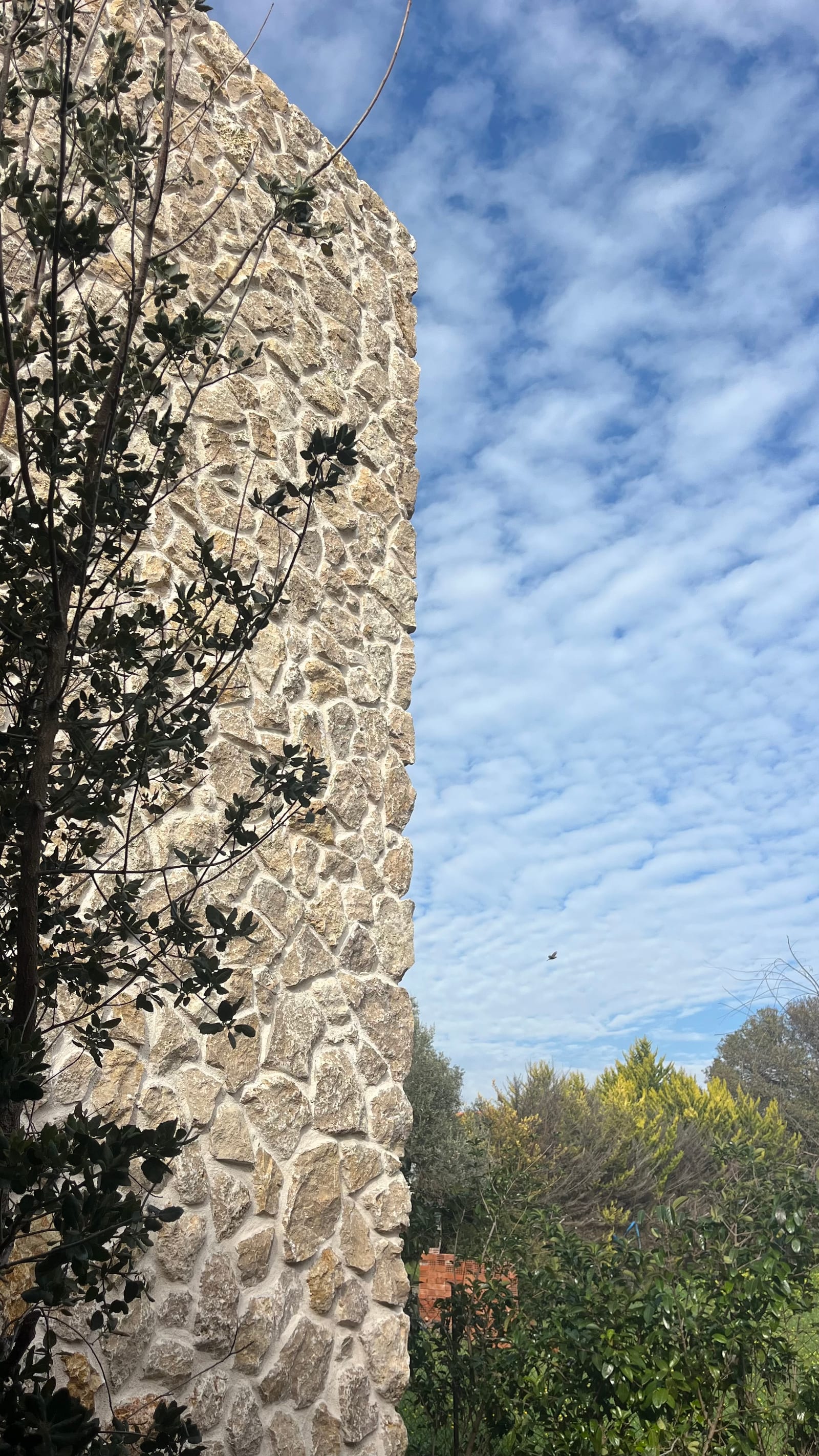 HOUSE ATC | URLA - fotoğraf 4