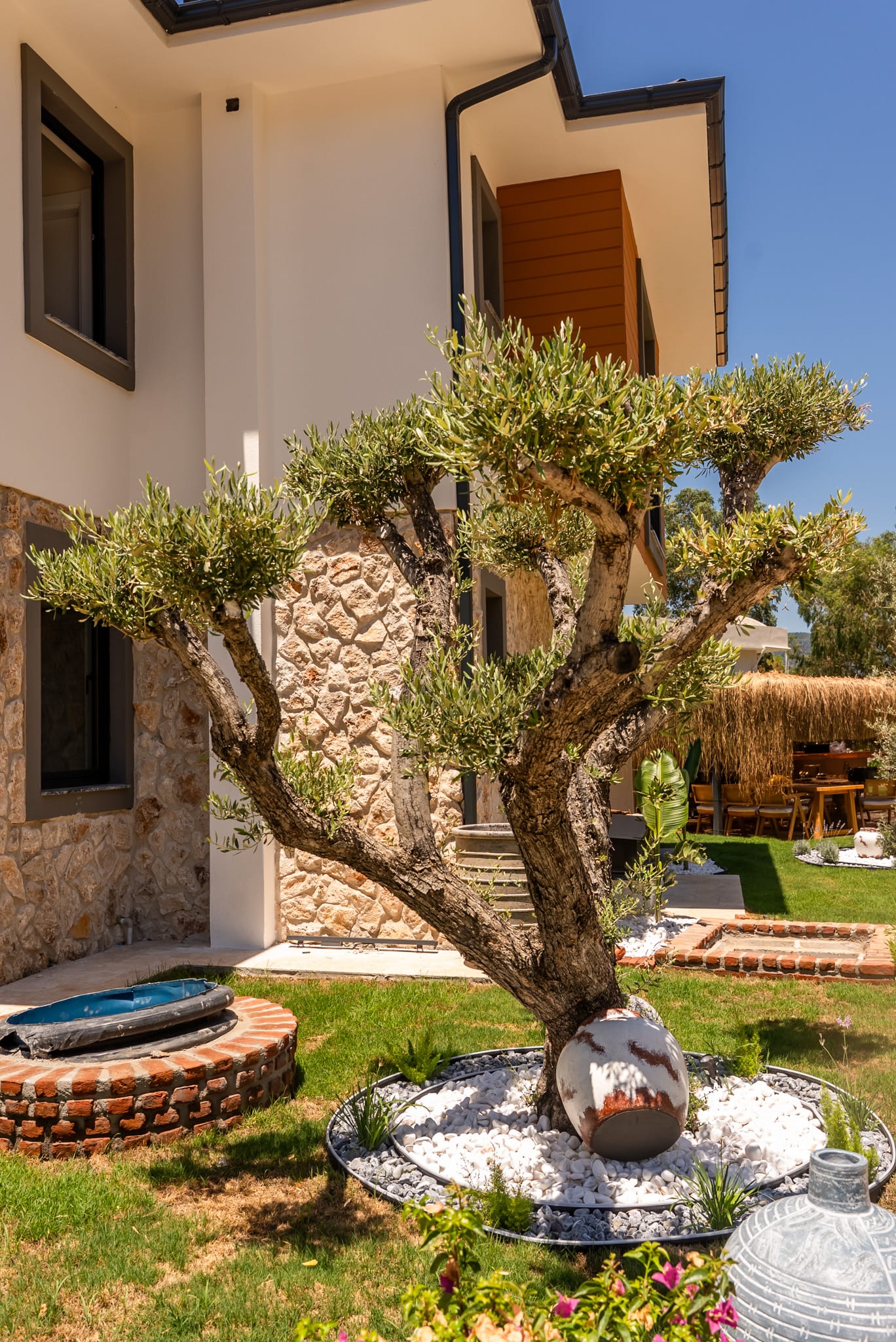 MIYE | SELIMIYE - fotoğraf 6