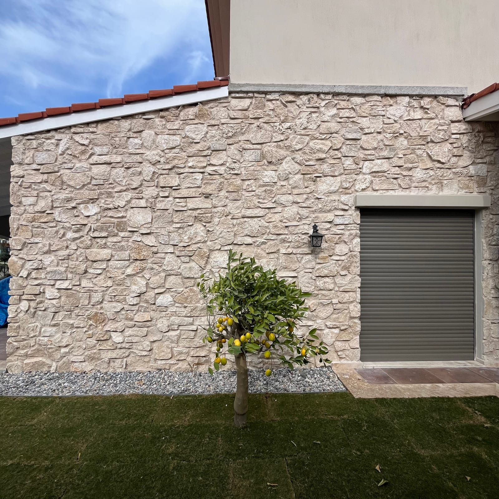 V8 | KUSÇULAR - fotoğraf 2