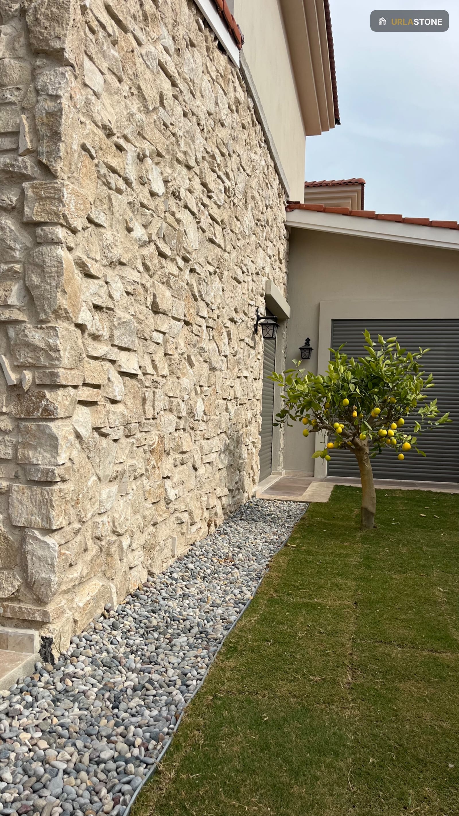 V8 | KUSÇULAR - fotoğraf 1